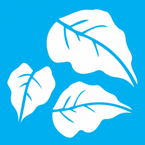 ESTENCIL 14X14 FOLHA GIRASSOL