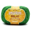 FIO CIRCULO AMIGURUMI BRILHO COR 5767 VERDE BANDEIRA